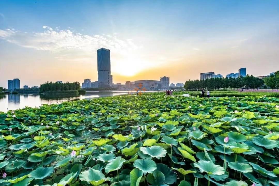 嘉定 保利國(guó)際廣場(chǎng) 2000平米 簡(jiǎn)裝